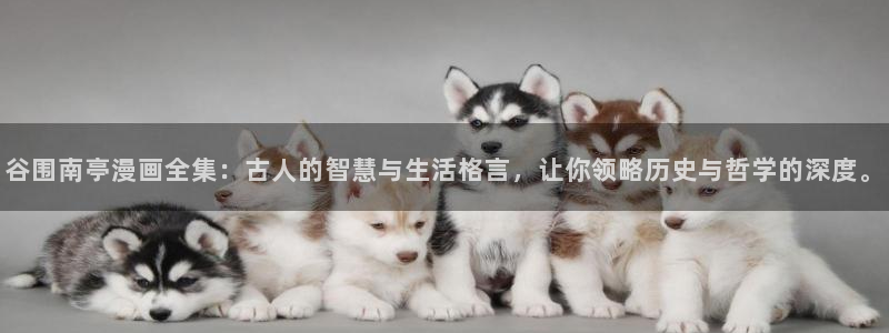 嘿咻汗汗漫画：谷围南亭漫画全集：古人的智慧与生活格言，让你领略历史与哲学的深度。