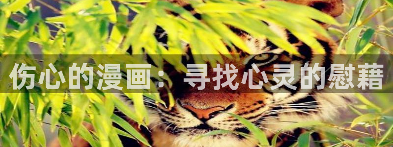 汗汗漫画免费观看页面看漫画下拉式：伤心的漫画：寻找心灵的慰藉