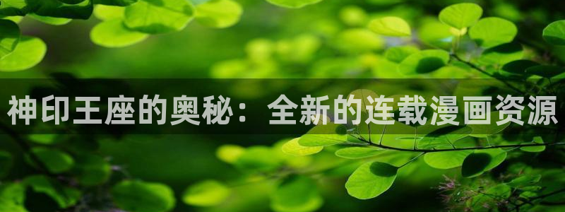 汗汗漫画免费观看入口：神印王座的奥秘：全新的连载漫画资源