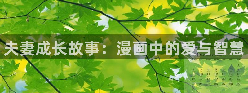 汗汗漫画大全免费版：夫妻成长故事：漫画中的爱与智慧