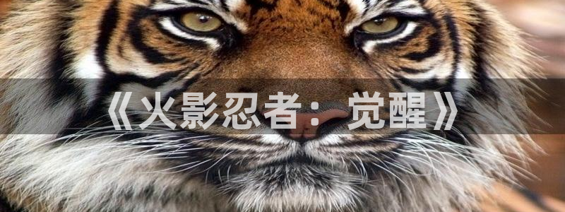 汗汗漫画免费在线阅读入口：《火影忍者：觉醒》