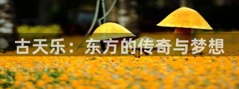www.汗汗漫画.com：古天乐：东方的传奇与梦想