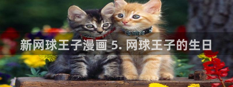汗汗漫画破解版：新网球王子漫画 5. 网球王子的生日