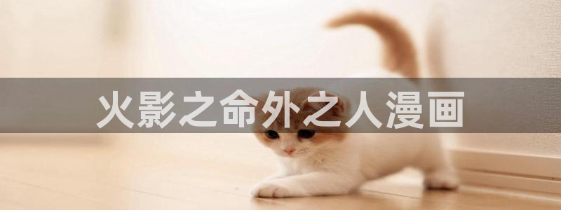 汗汗漫画在线看漫画：火影之命外之人漫画
